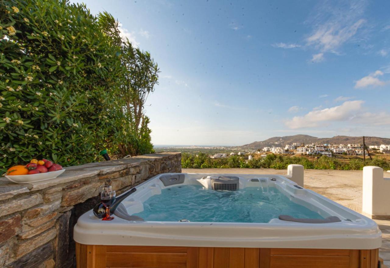 Villa Di Sergio Glinado Naxos Buitenkant foto
